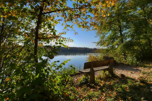 坎宁安谈比克斯塔夫：他显然是年度最佳教练.